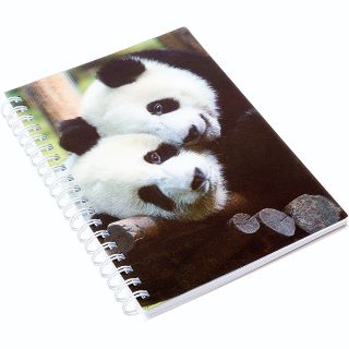 Obrázek z Notes 3D 12x17cm - panda 